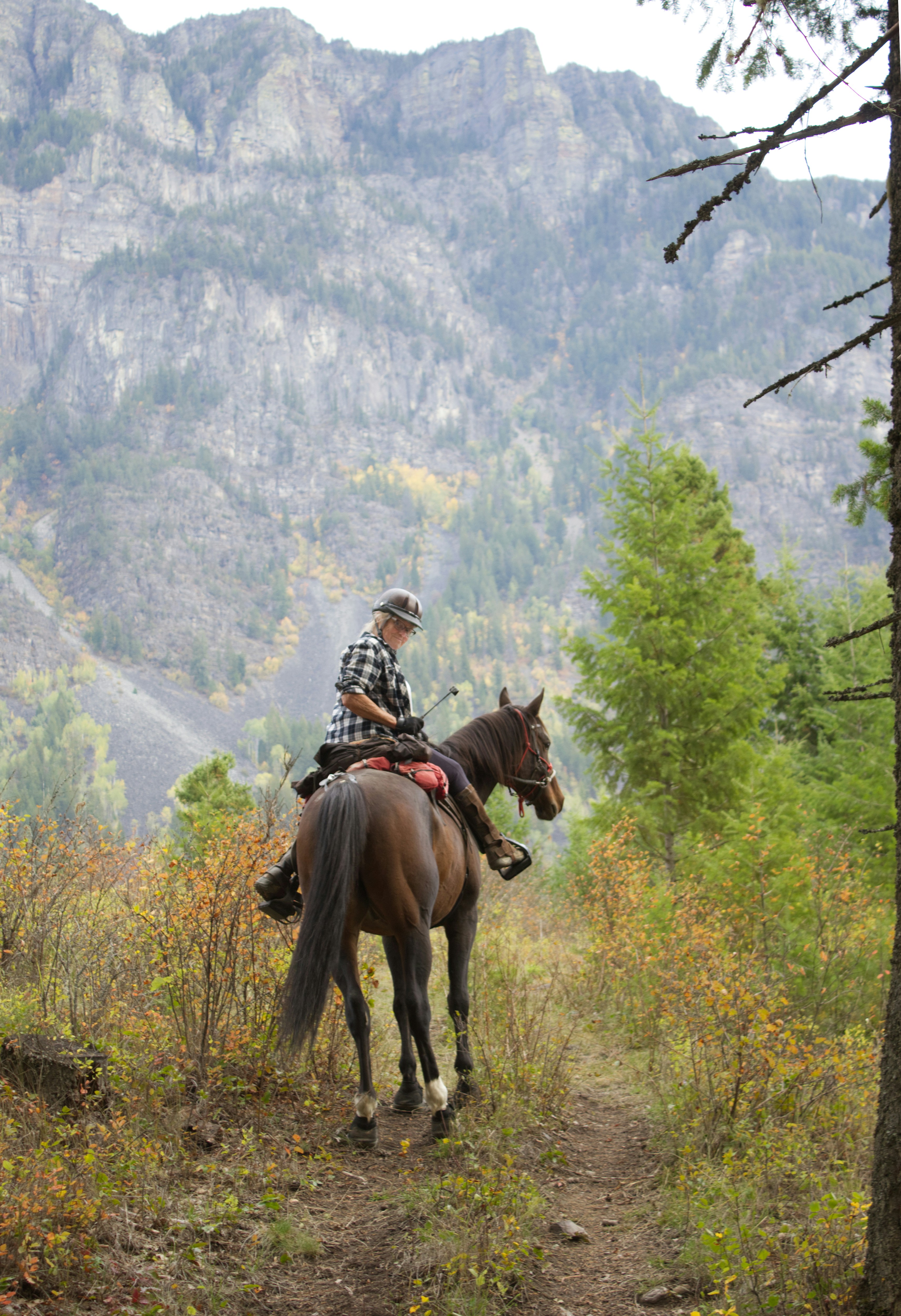 Balade en forêt