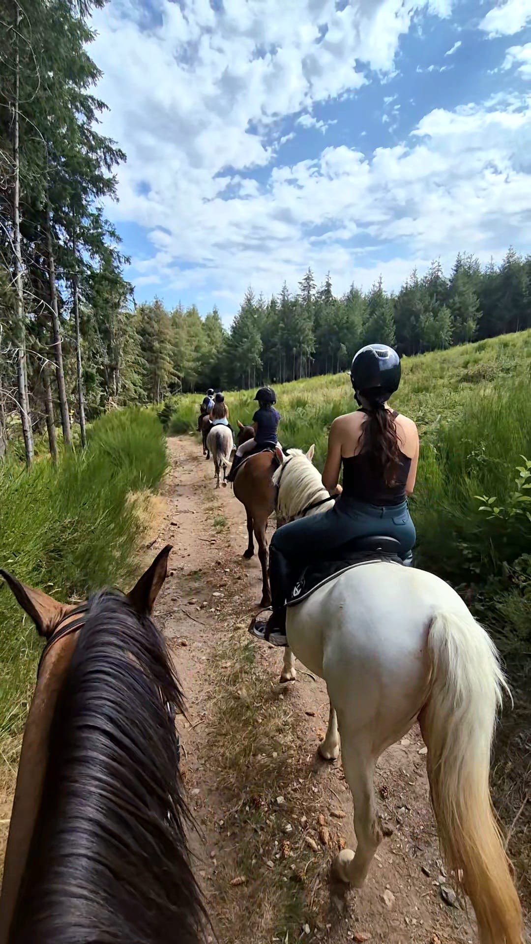 Balade à cheval en groupe