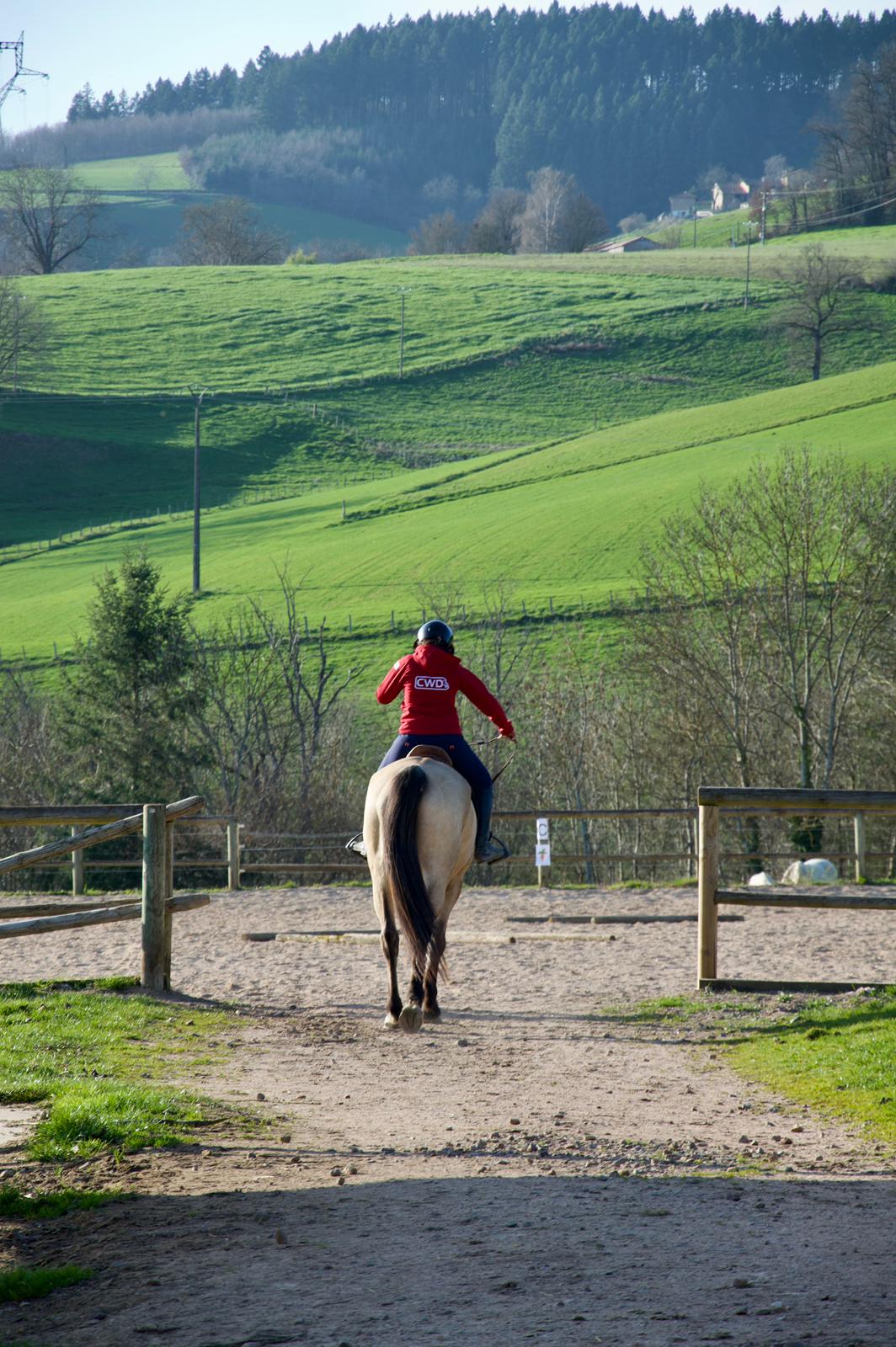 Retour de balade à cheval