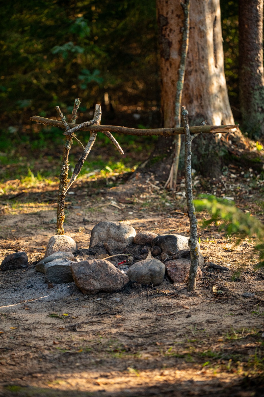 Feu de camp du bivouac en forêt