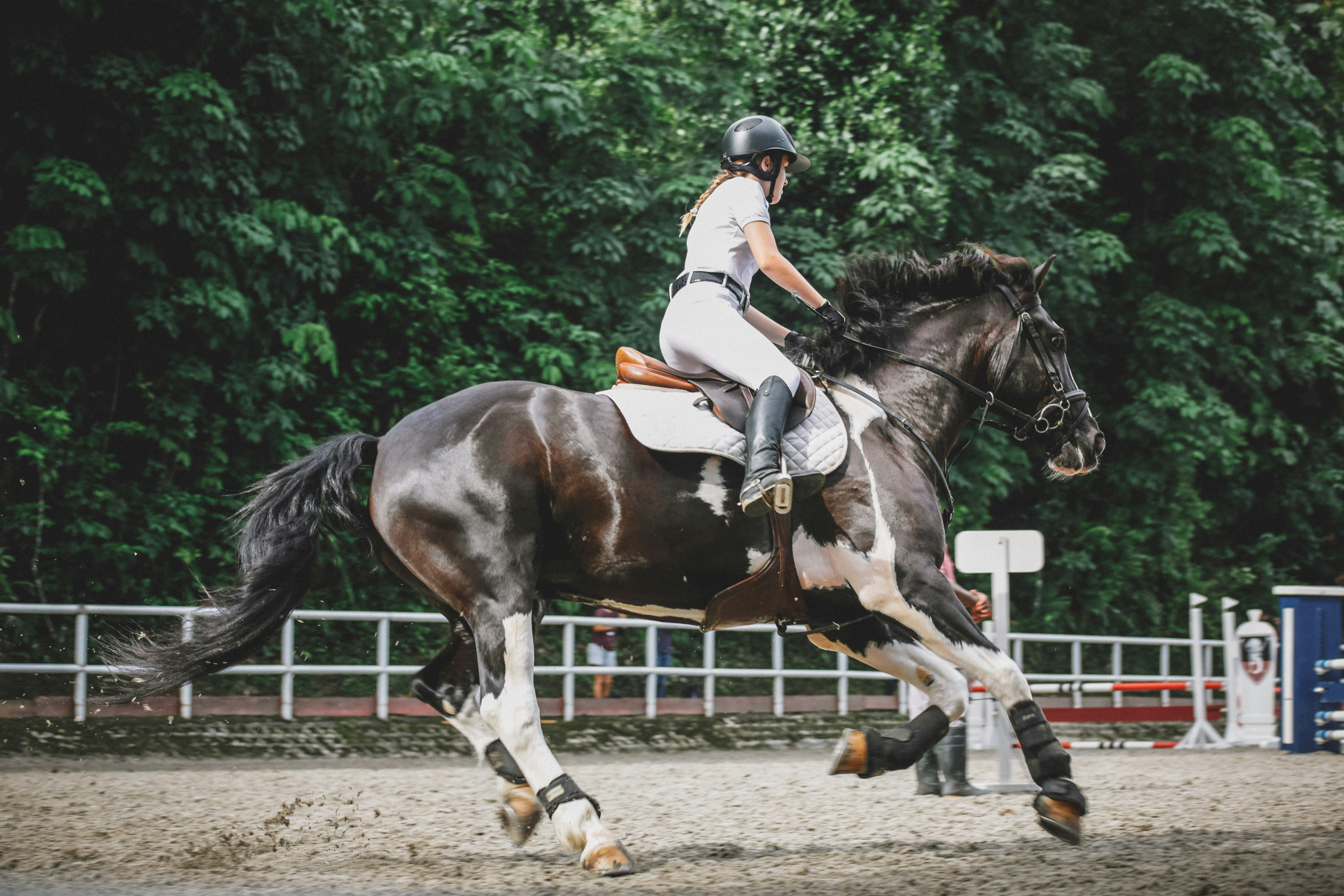 Entraînement en carrière