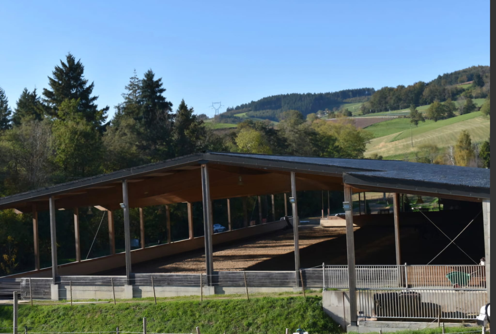 Manège et carrière